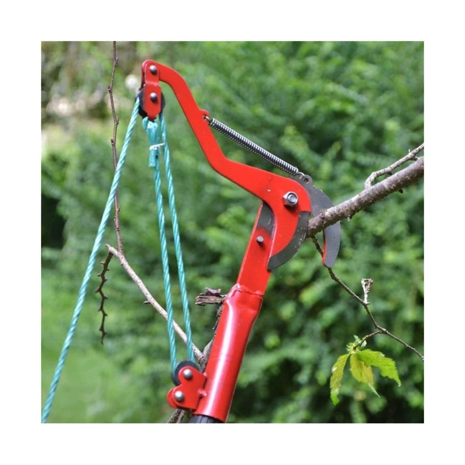 Tijeras telescópicas recolector de Frutas Ramas de Corte de Gran altitud poda Herramientas y Equipos de jardinería(Red-Double Wheels)