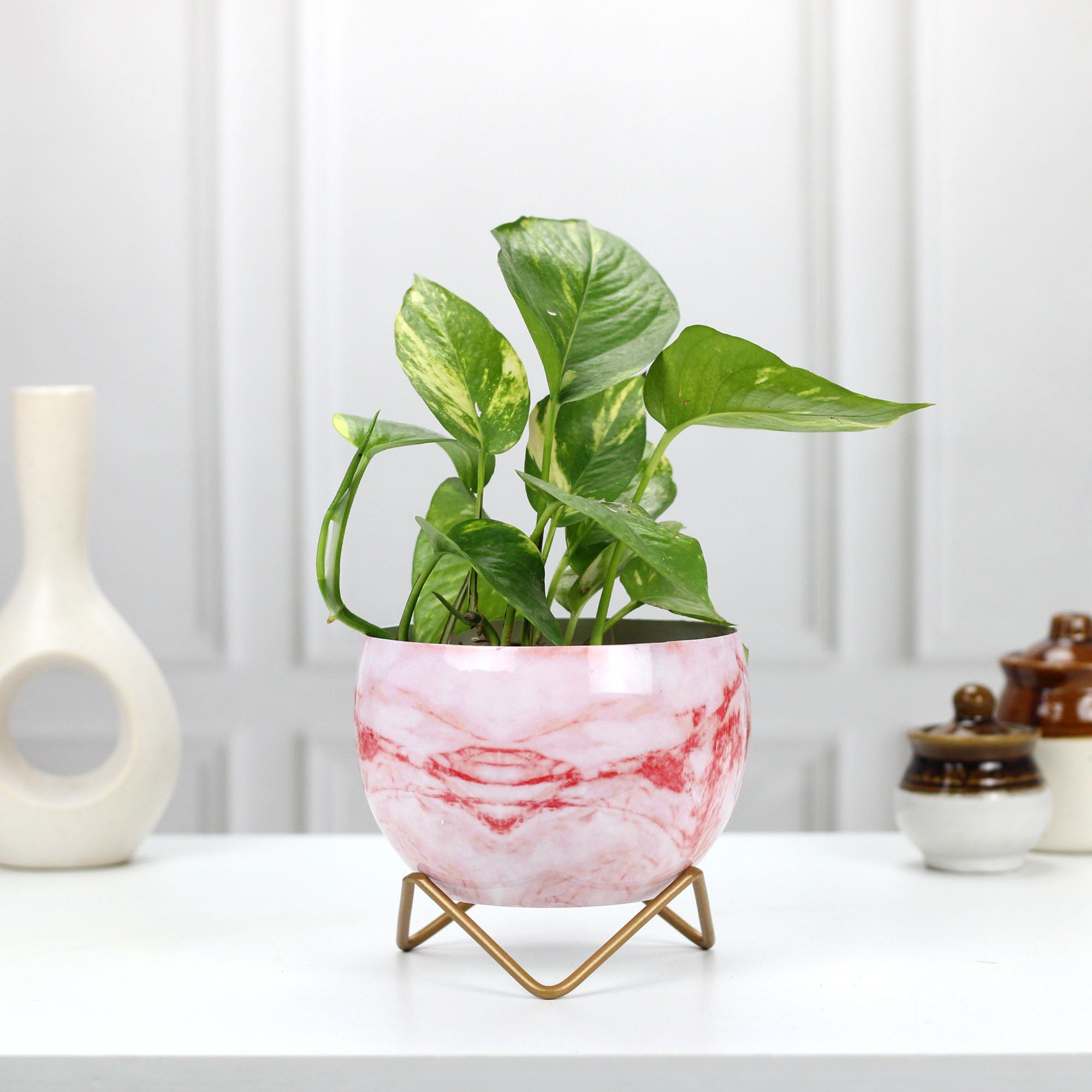 Urban Plant Indoor Metal Planter with Golden Stand | Table Top Pots for Living Room | Designer Flower Vase | Office Decor Items (No. 1321) (Pink Marble) (B09YFLCWZ6) Amazon Price History, Amazon Price Tracker