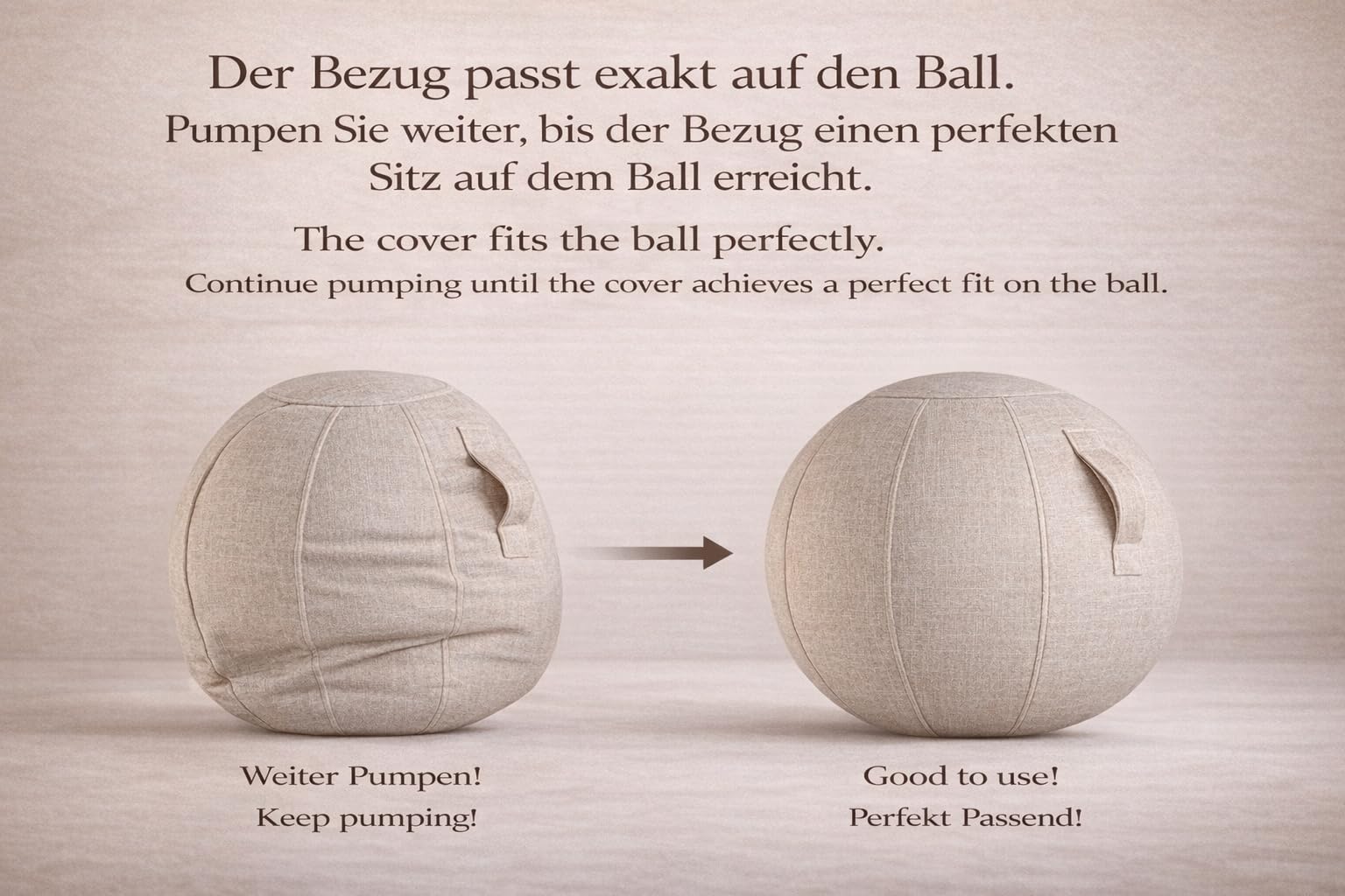 ONVAYA, Pelota de gimnasia de 65 cm con funda