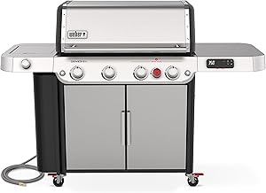 The 10 Best Gas Grills On The Market Today 5