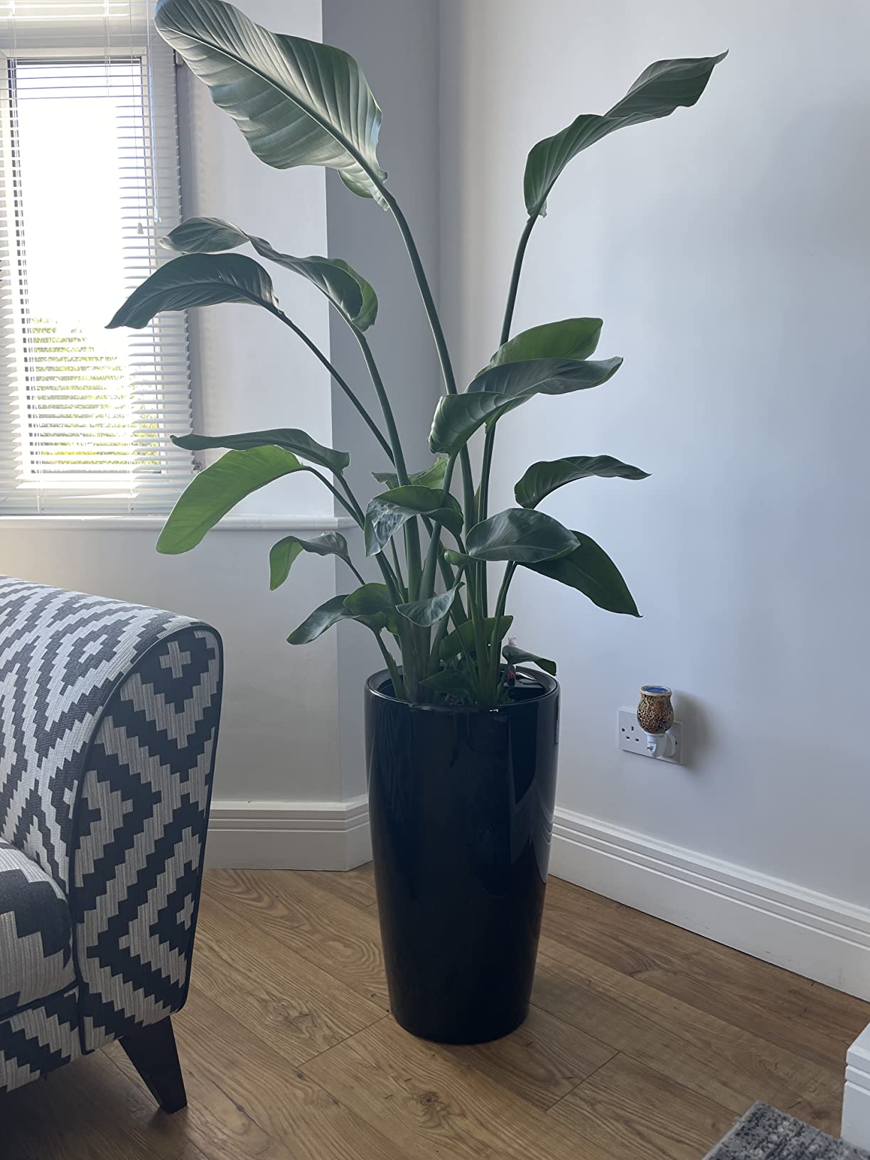 Customer photo