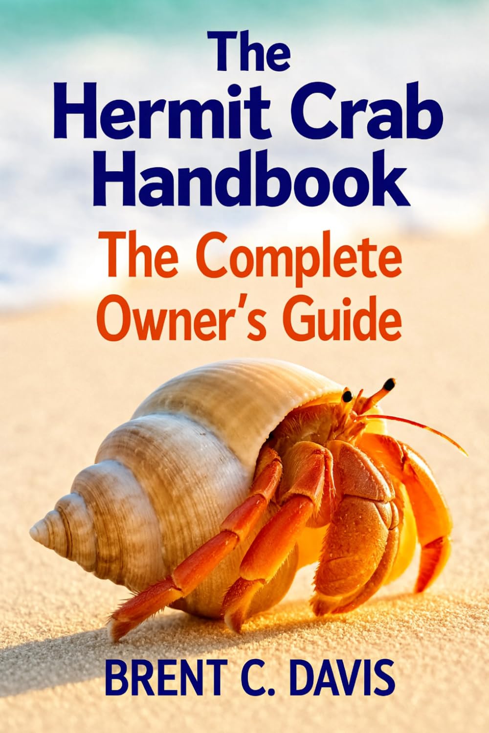 The Hermit Crab Handbook: The Complete Owner’s Guide