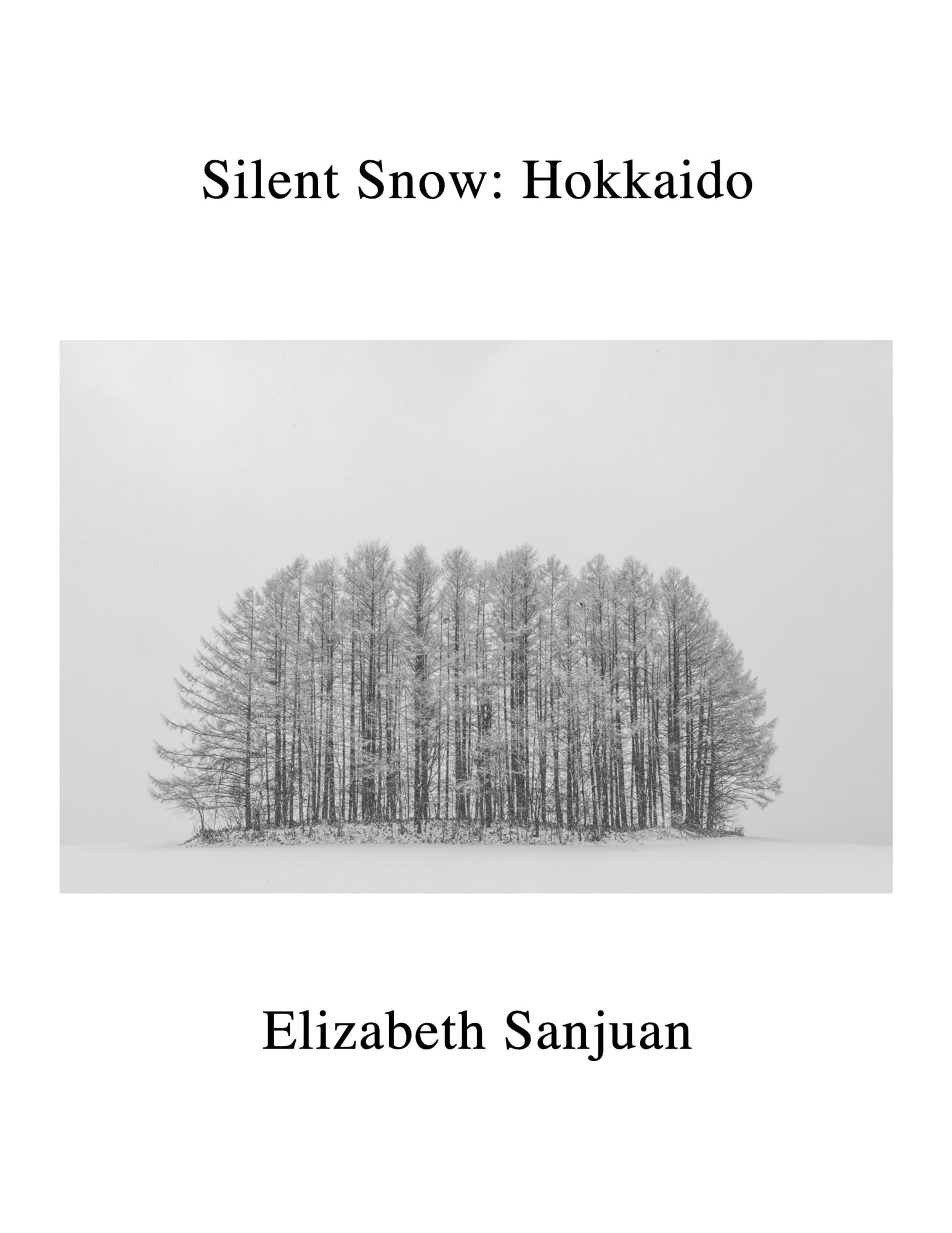Silent Snow Hokkaido by Elizabeth Sanjuan (Hardback Book)