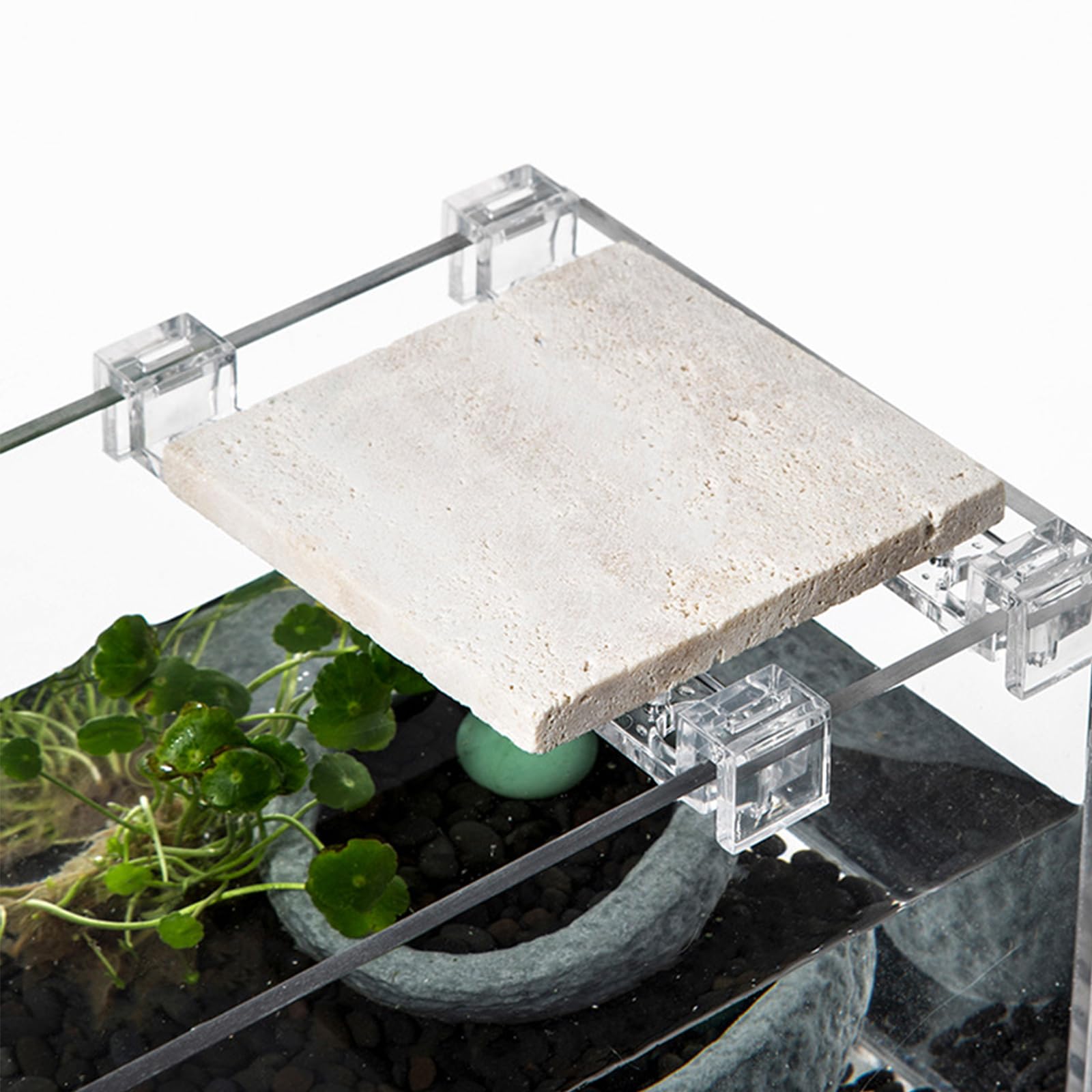 Lot de 10 supports de couvercle d'aquarium pour divers aquariums