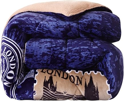 ZTGL 3-Layer Luxury Flannel Fleece Weighted Blanket, Super Warm Thickened Quilt Winter, Soft Plush Velvet Bed Blanket for Adults Double-Sided Quilt Heavy Warm for Winter,D,180X220cm/2.7kg