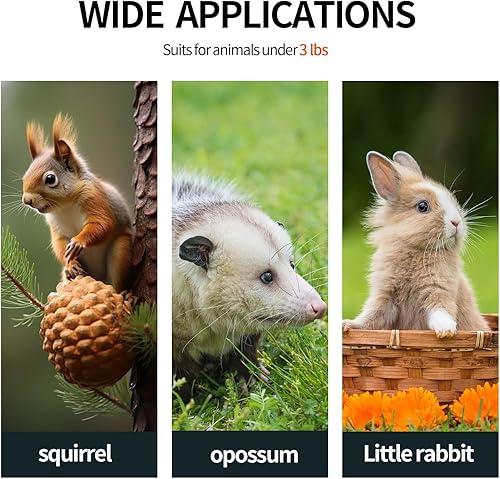 Miniatura 6 de Trampa de ardilla humana de 17 pulgadas, trampa plegable para animales pequeños, fácil de atrapar y liberar