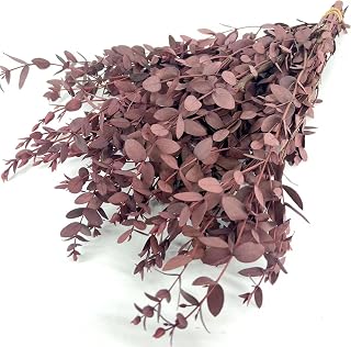 Preserved Dried Eucalyptus Greenery Stems, 20+ Pcs 16 inches Natural Long Lasting Eucalyptus Bundles for Vase Arrangements Home Decoration Photo Props Parties and Weddings, DIY Décor-Red