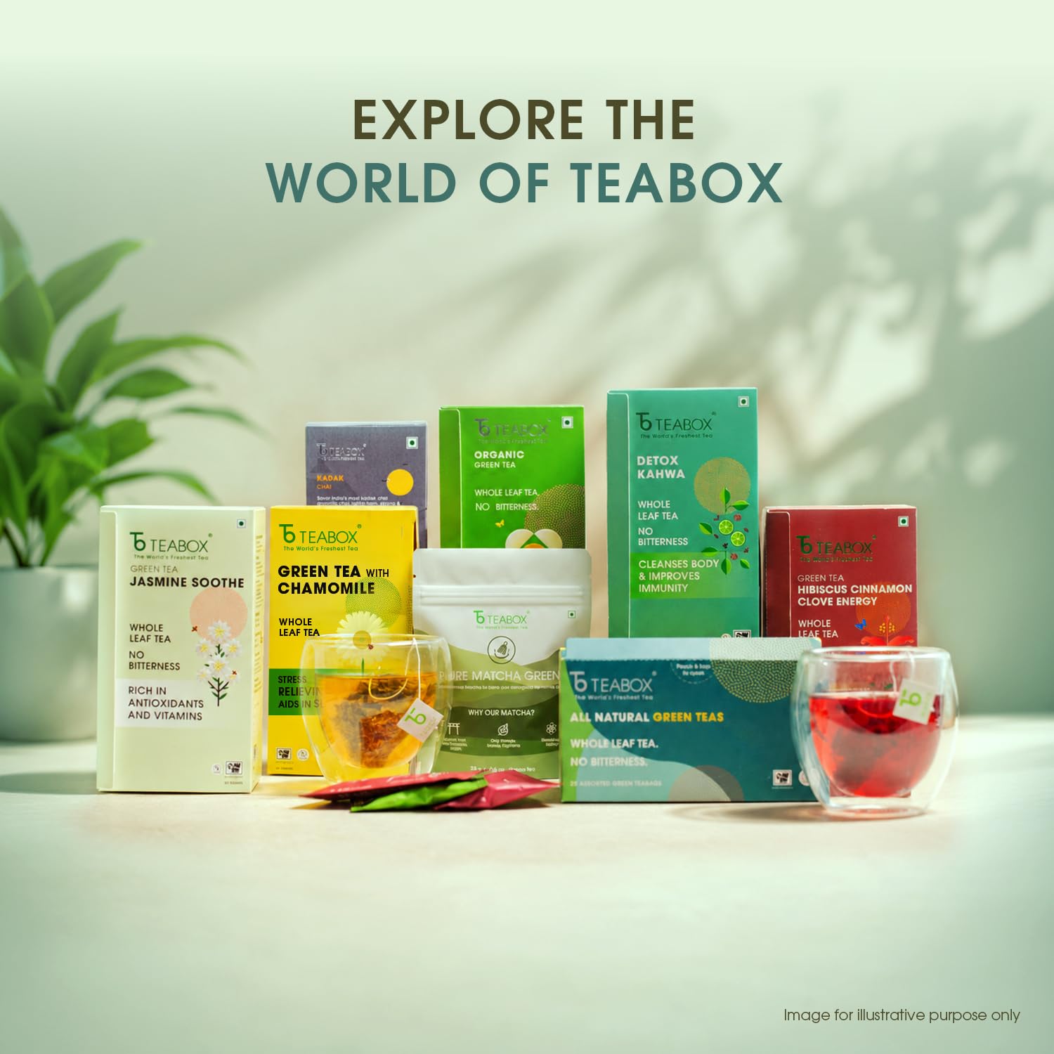 Teabox Premium Green Tea With Dandelion Roots | Whole Leaf & 0% Bitterness | Green Tea From The Himalayas | 25 Tea Bags (Low Caffeine) 3