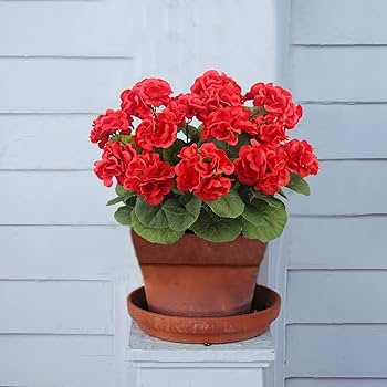 花 国内販売中/28日発売予定】アディダス オリジナルス ZX 8000