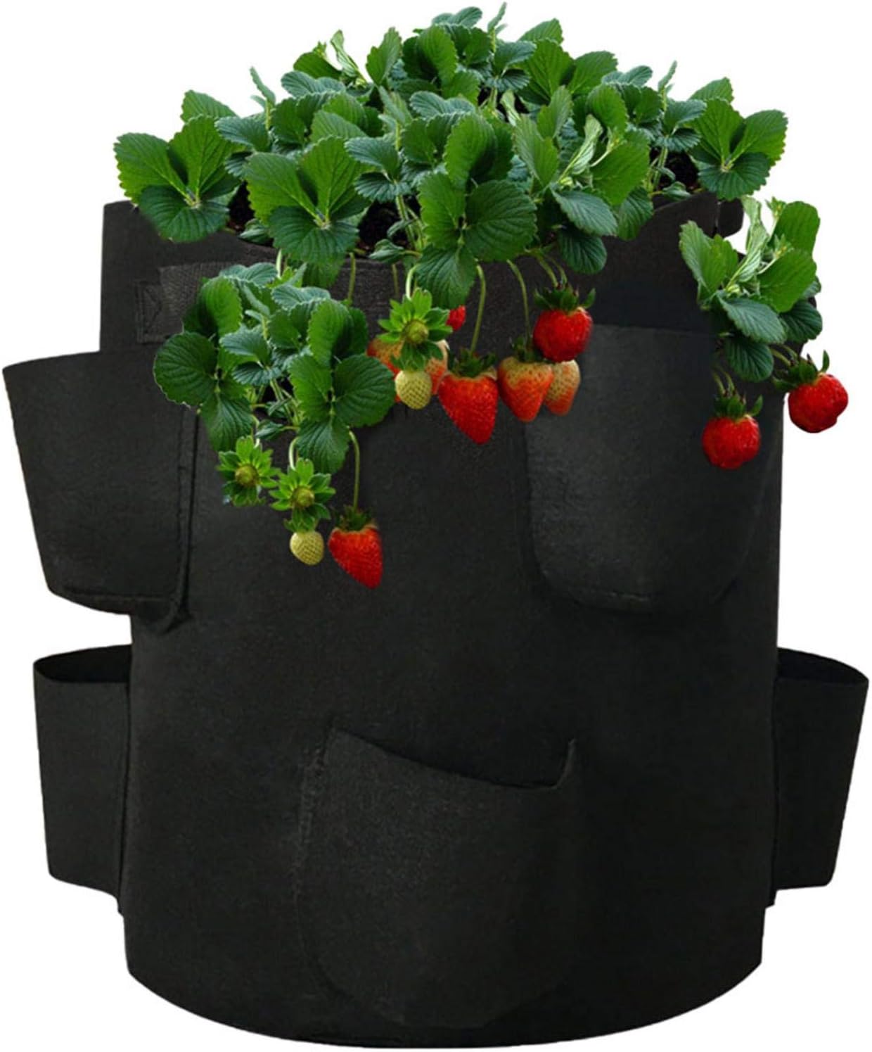 Amazon Co Jp 不織布ポット プランター フェルト 植え袋 イチゴ植栽バッグ 不織布ポット 野菜栽培 発育促進 植物育成 園芸用 ガーデン 庭 植木鉢 家庭菜園 室内栽培用 おしゃれ Diy 工具 ガーデン