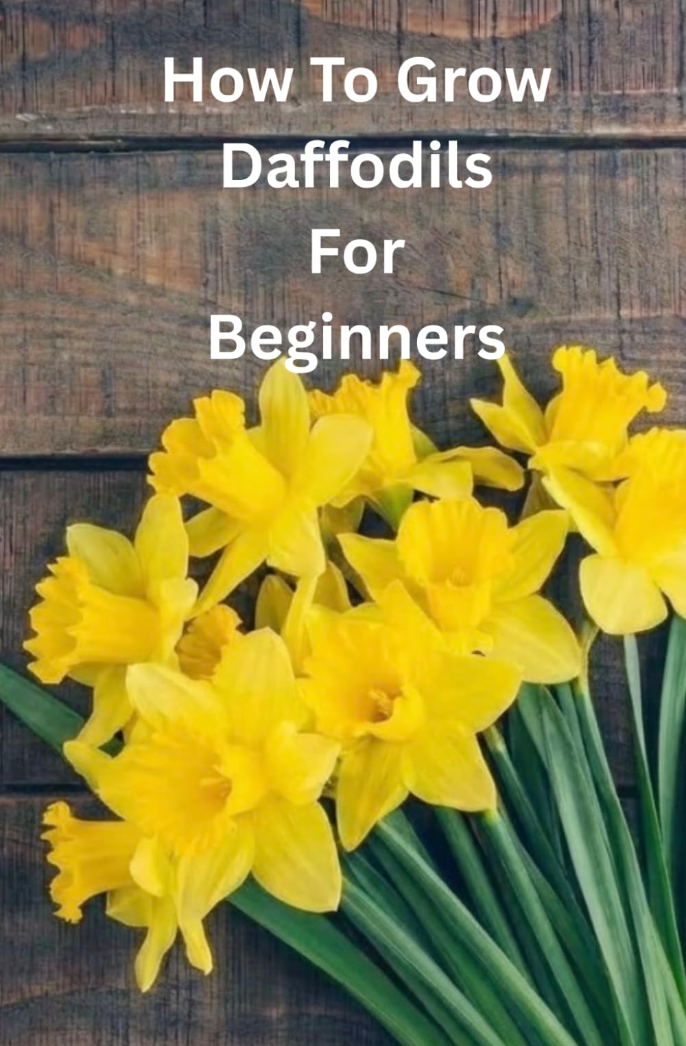GROWING DAFFODILS FOR BEGINNERS: Everything You Need to Know to Grow And Care For Daffodils A Home.