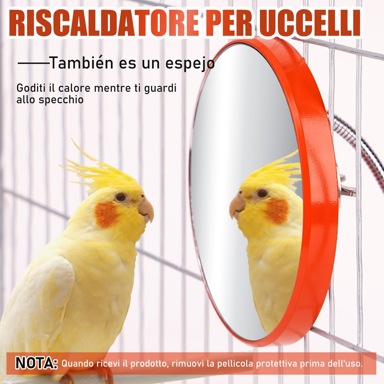Riscaldata Per pappagallo, Protezione Cavo Antimorso, Piattaforme Appollaiamento Per Uccelli, Riscaldatore 18W