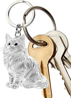 ペットの毛を収納するキーホルダー 猫の形をした透明なキーリング | 透明なペットの毛を収めるホルダー記念品 コレクション バックパック 財布 ハンドバッグ 鞄 装飾用