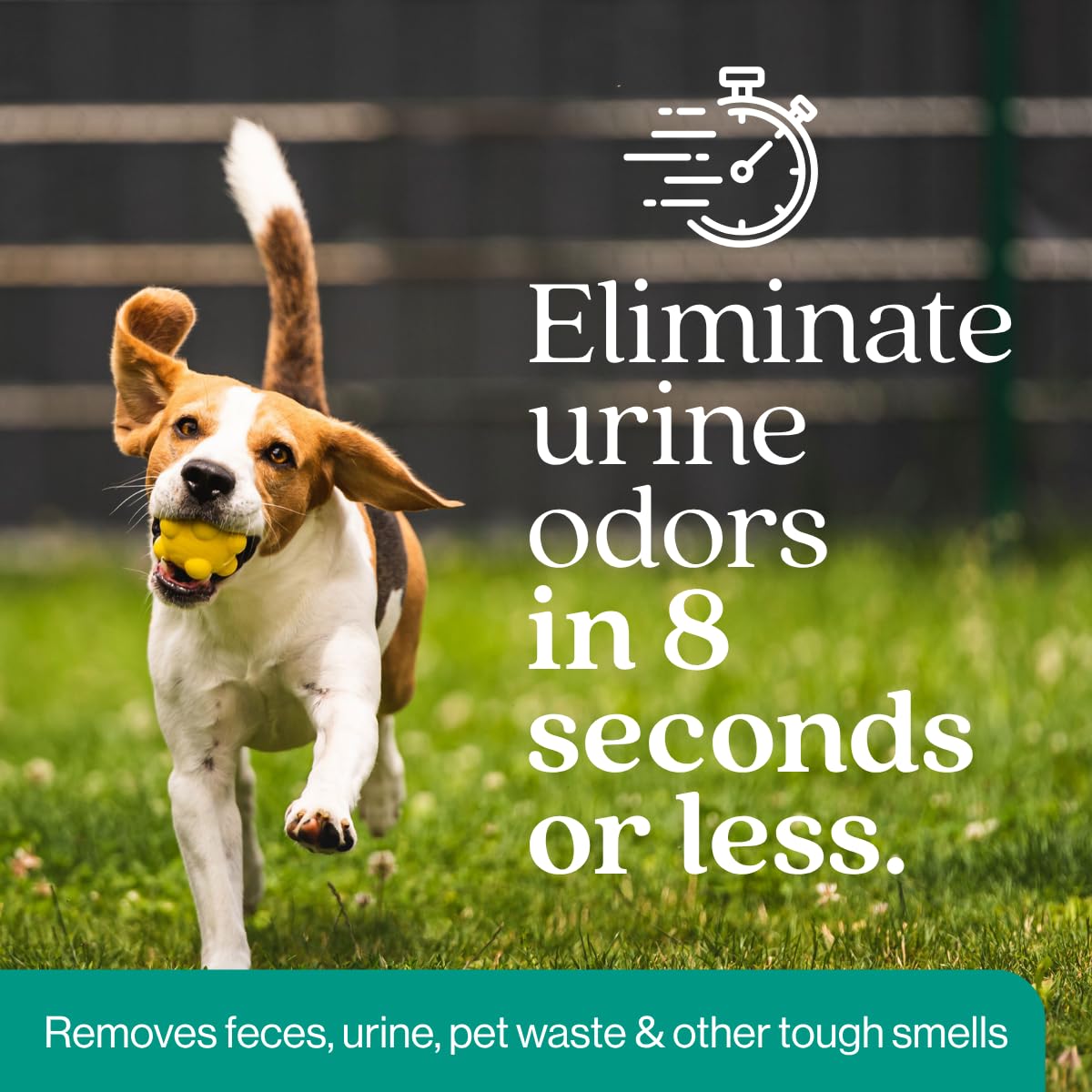 Eco Strong Eliminatore di odori per esterni per cani e urine, potente deodorante per animali domestici, gatti, animali domestici, resistenza professionale per cortile, tappeto erboso, canili, patii