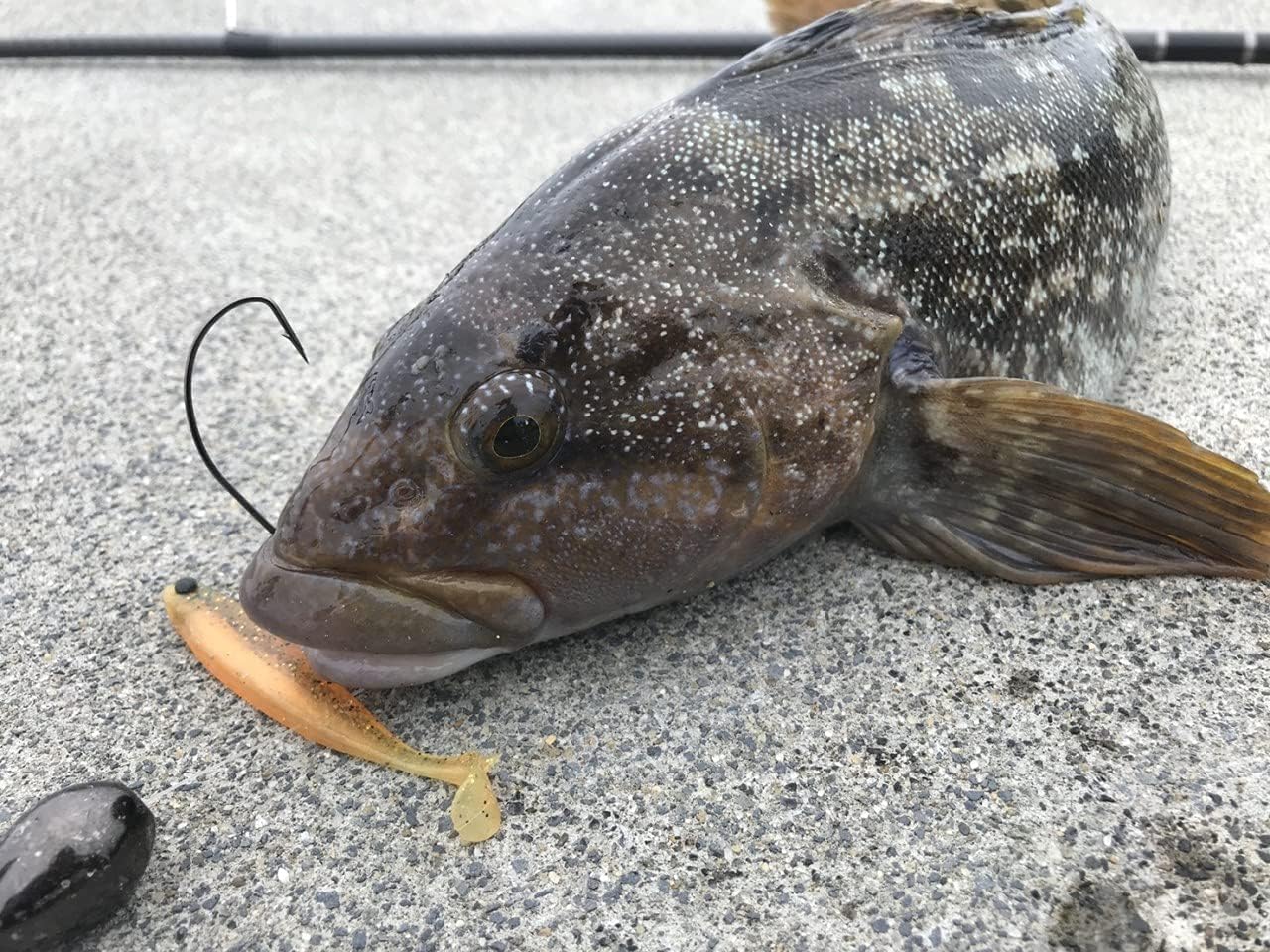Mustad Mesashi Z Tail Minnow 3"