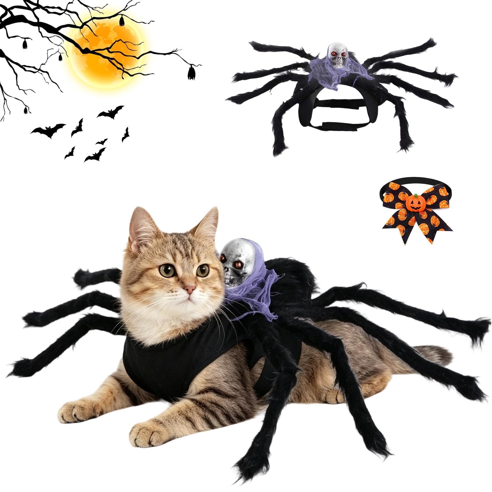 Spider cat costume, Halloween dog costume, spider costume for dogs