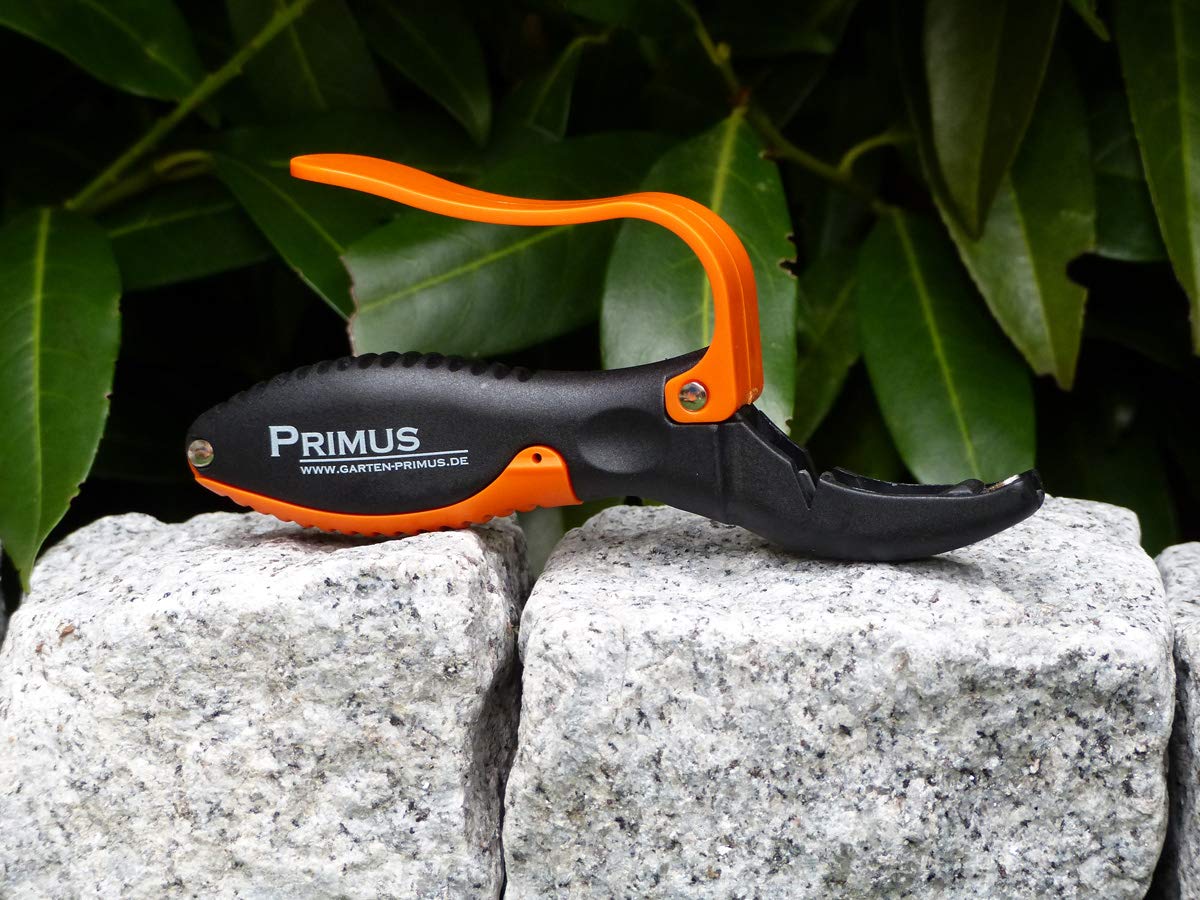 Garten Primus Multifunktions-Schleifer, schwarz/orange, 14,9 x 8,6 x 1,9 cm, 03000