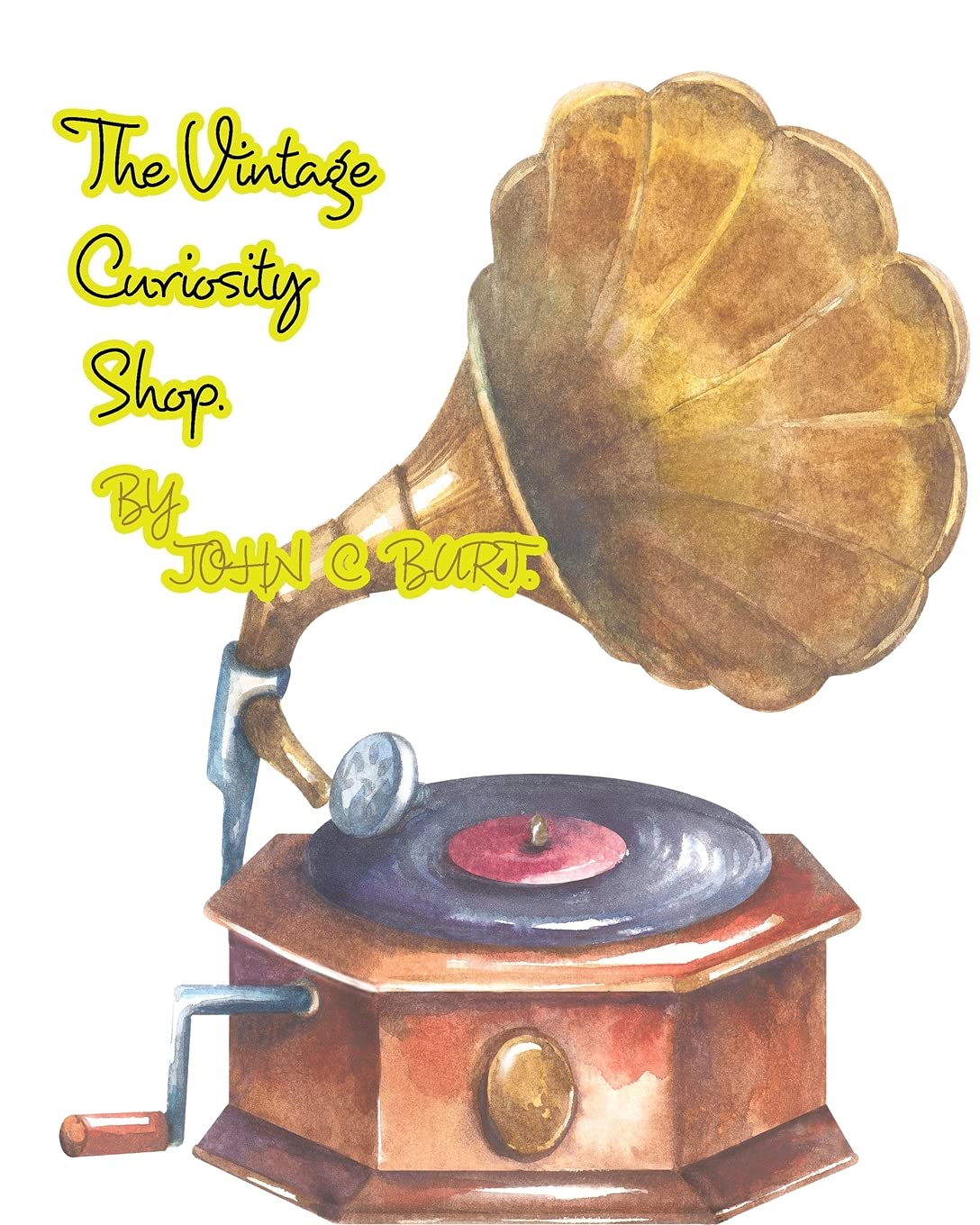 The Vintage Curiosity Shop.