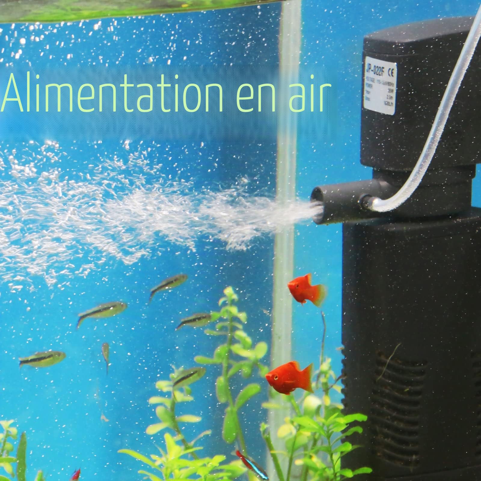 Filtre Bio Interne avec Pompe Submersible pour Aquarium 55-150 L - Éponge pour Poissons Tropicaux et Réservoir Tortue
