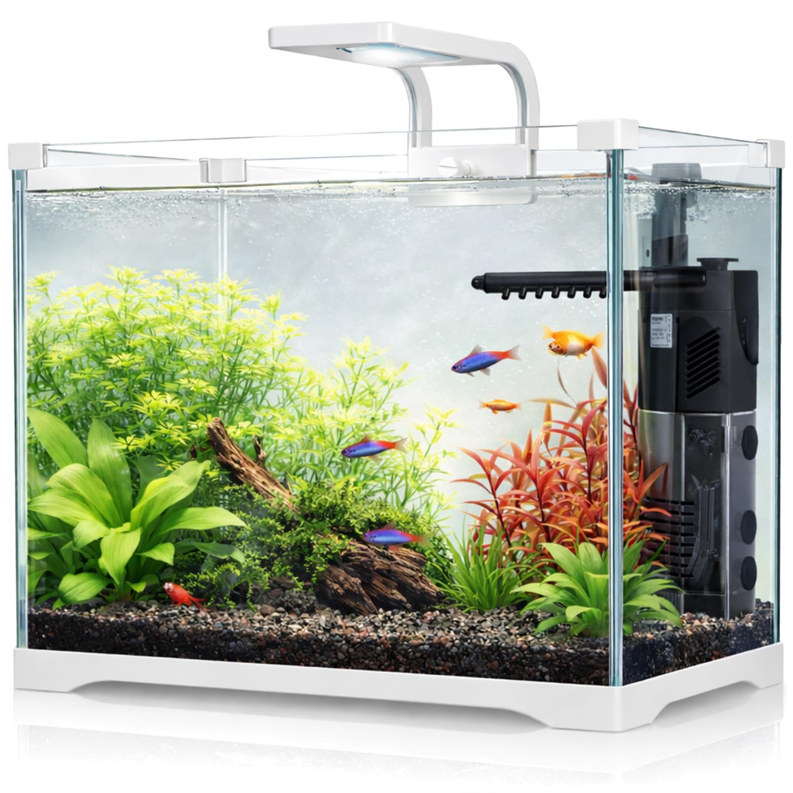 Kruger Meier Shrimp!One Pro 50 Aquarium Komplettset 25L – Nano Aquarium mit LED Beleuchtung und Innenfilter für Garnelen & Fische