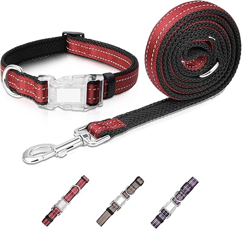 Pawhuggies Collar de perro ajustable de malla reflectante y juego de correa acolchada de 4 pies5 pies asa de correa con una junta tórica para