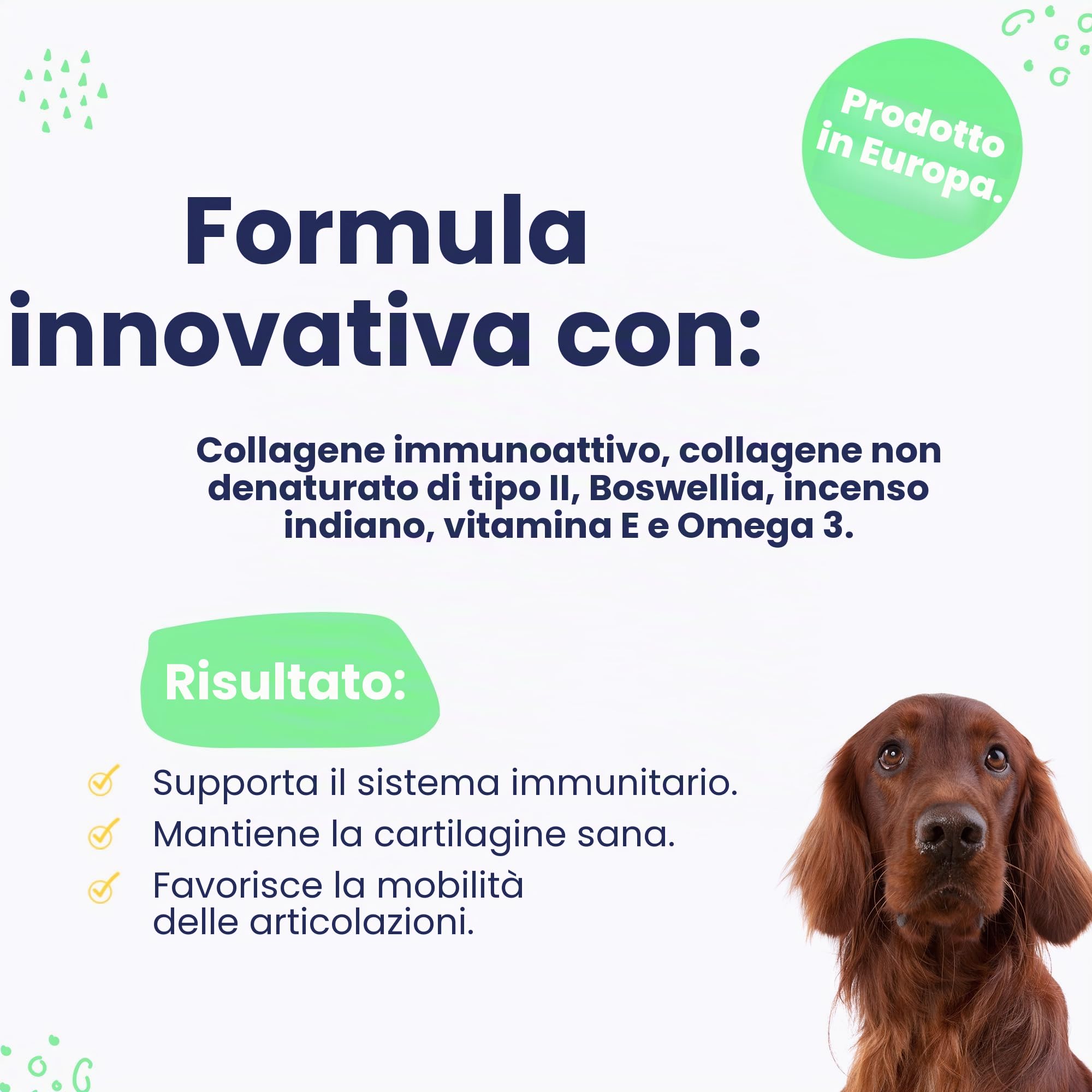 Vetoquinol Flexadin Advanced antiossidante per Cane