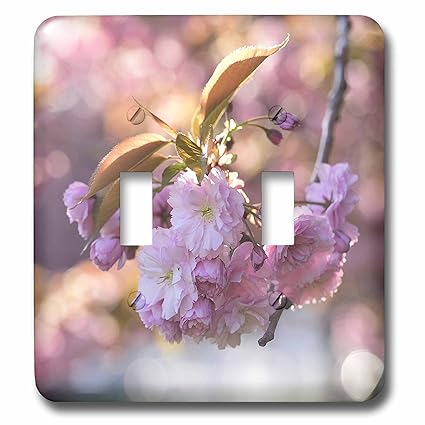 Asian Cherry Blossoms in Spring - Double Toggle Switch (lsp_253399_2)