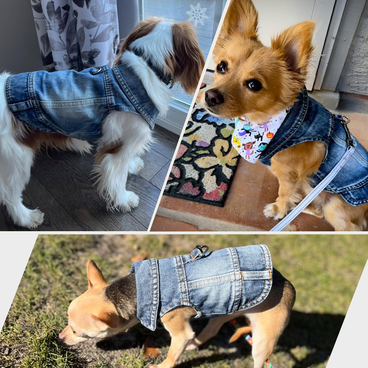 LKEX Dog Jean Jacket, Blue Denim Shirt Classic Lapel Vest Coat Costume Puppy T-Shirt, Comfort Tank Top Cool Apparel, Washed Pet Clothes for Dogs Boy Girl (with D-Ring, Small)