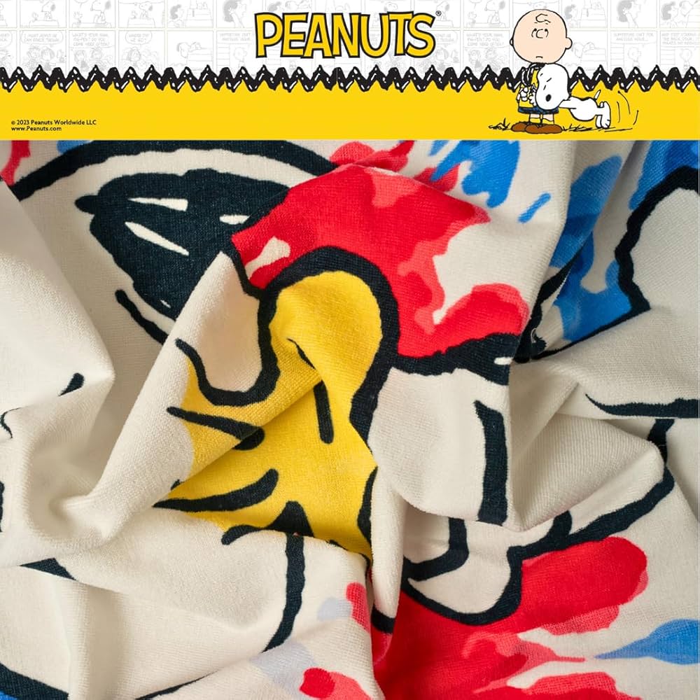 Amazon.com: Franco Collectibles Peanuts Snoopy & Woodstock