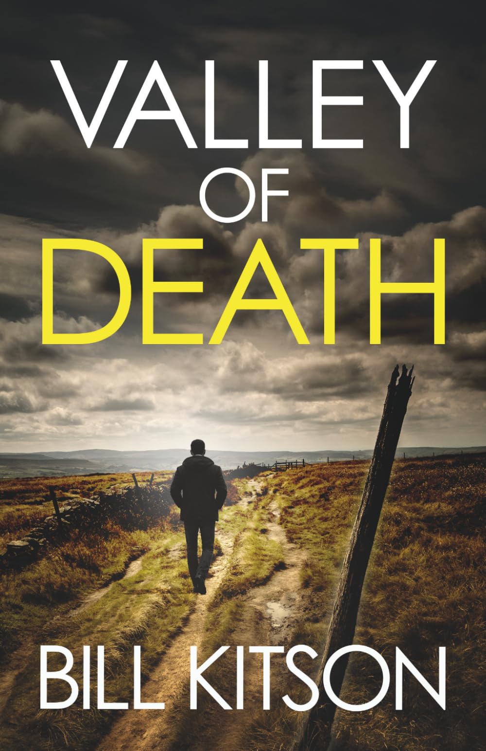 VALLEY OF DEATH: An addictive and heart-pounding British crime thriller (Detective Mike Nash)