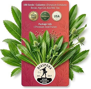 Culantro Seeds,Recao,A.K.A;Vietnamese Coriander,Thai Parsley,ngo gai,Shadon beni