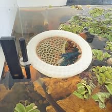 HOZOE Fish Tank Floating Betta Hide,Betta or Shrimp Burrows and Hammock, Fish and Shrimp Feeder,Multifunctional Aquarium Accessories,Anchorable Location Translucent