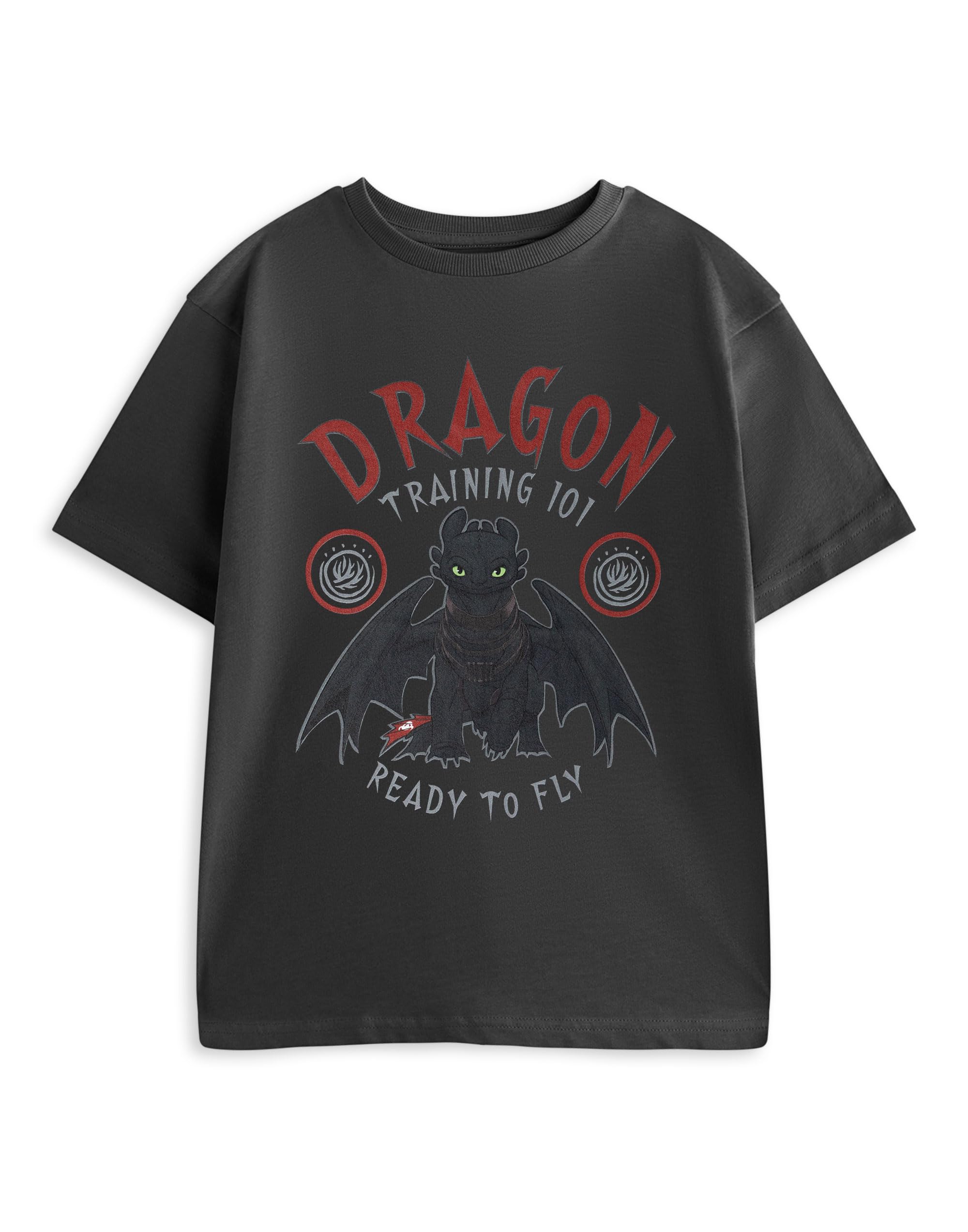 How To Train Your Dragon - Boy's T-Shirt - Short Sleeve - Size 3-4 Years - Grey