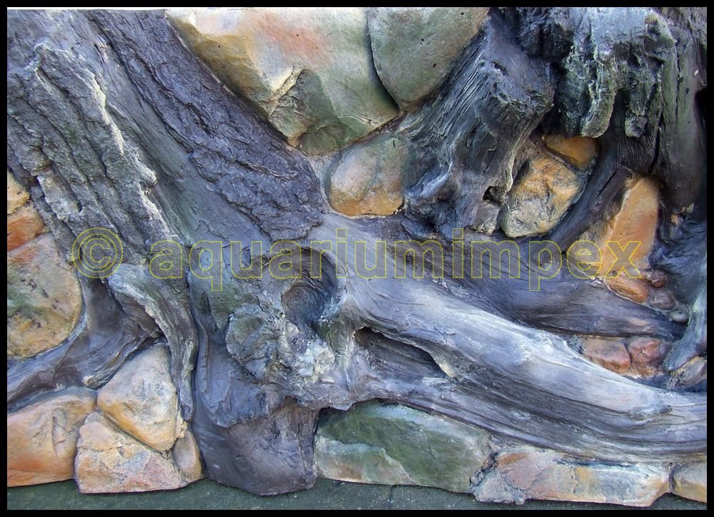 3D Rückwand 200x60 Aquariumrückwand Amazonas