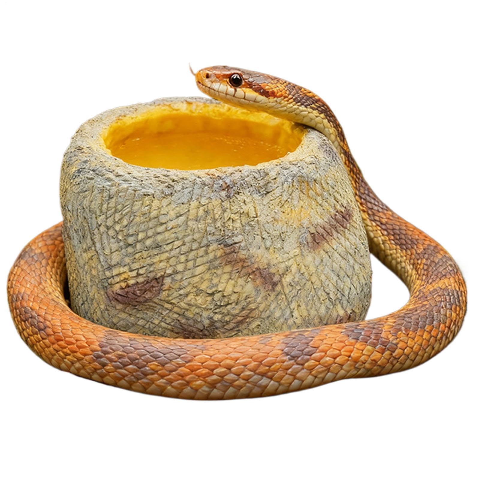 Abreuvoir pour terrarium de reptile adapté aux séances de baignade du lézard barbu