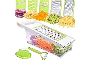 5 in 1 Multipurpose Cheese Grater with Container