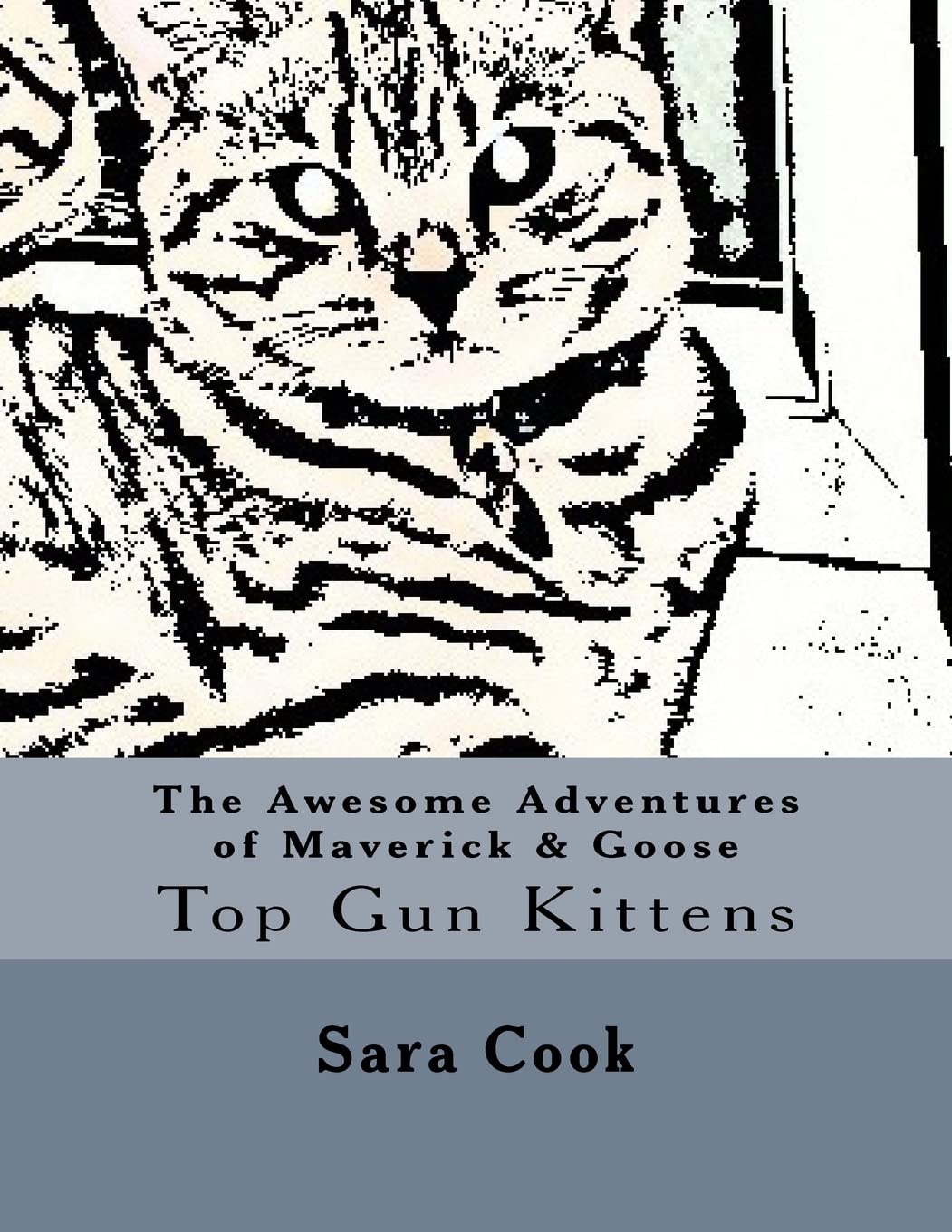 The Awesome Adventures of Maverick & Goose: Top Gun Kittens