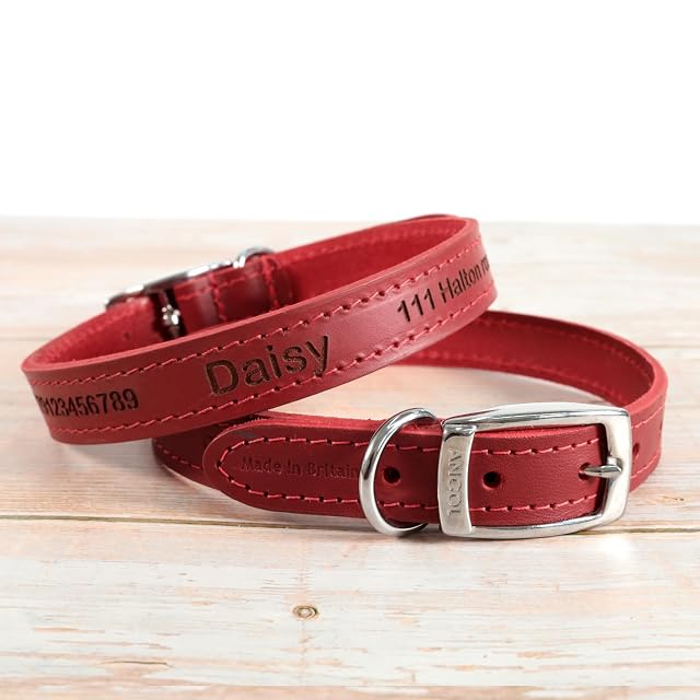 Foto 2 de 7 de Collar Personalizado de Cuero para Perros
