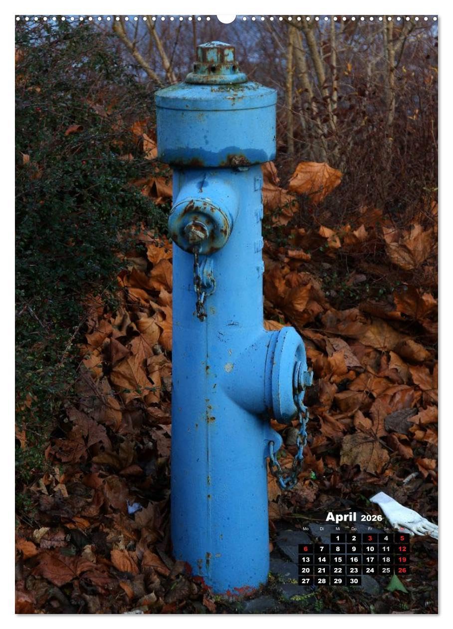 Nostalgie Hydranten (hochwertiger Premium Wandkalender 2026 DIN A2 hoch), Kunstdruck in Hochglanz: Hydranten am Straßenrand (CALVENDO Technologie)
