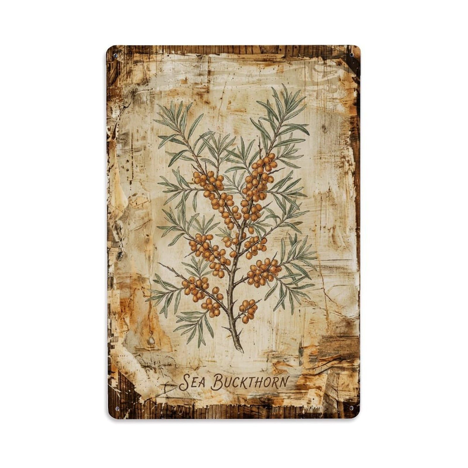 Fqnyr Style Sea Buckthorn Botanical Vintage Metal Tin Sign Plaque Wall Decor For Cafe, Club Bar, Office, Home Garden Metal Poster 8X12inch