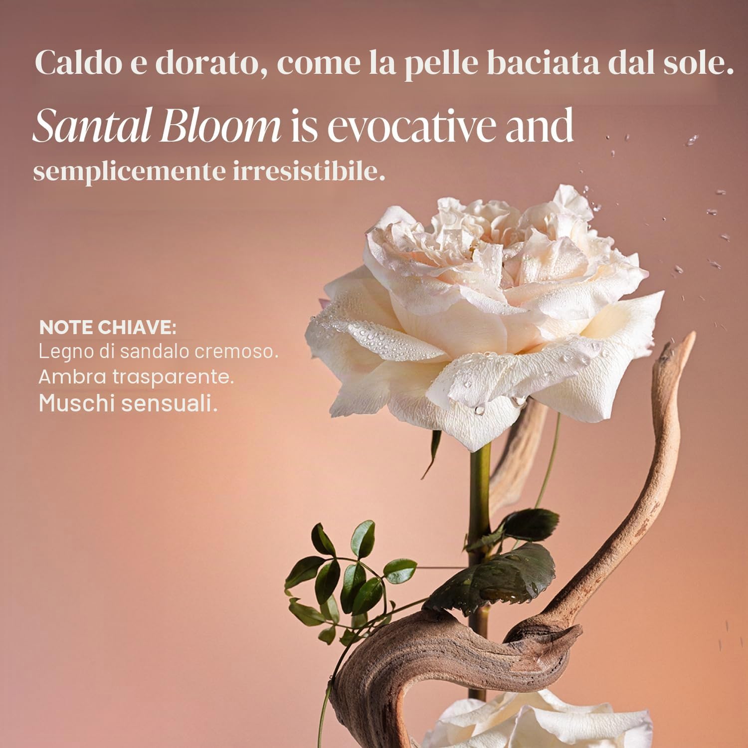 Saltair Signature Scents - Deodorante in siero con formula al 5% di Aha, deodorante con acido lattico e acido mandelico, controllo degli odori, senza alluminio, per donne e uomini, confezione da 2