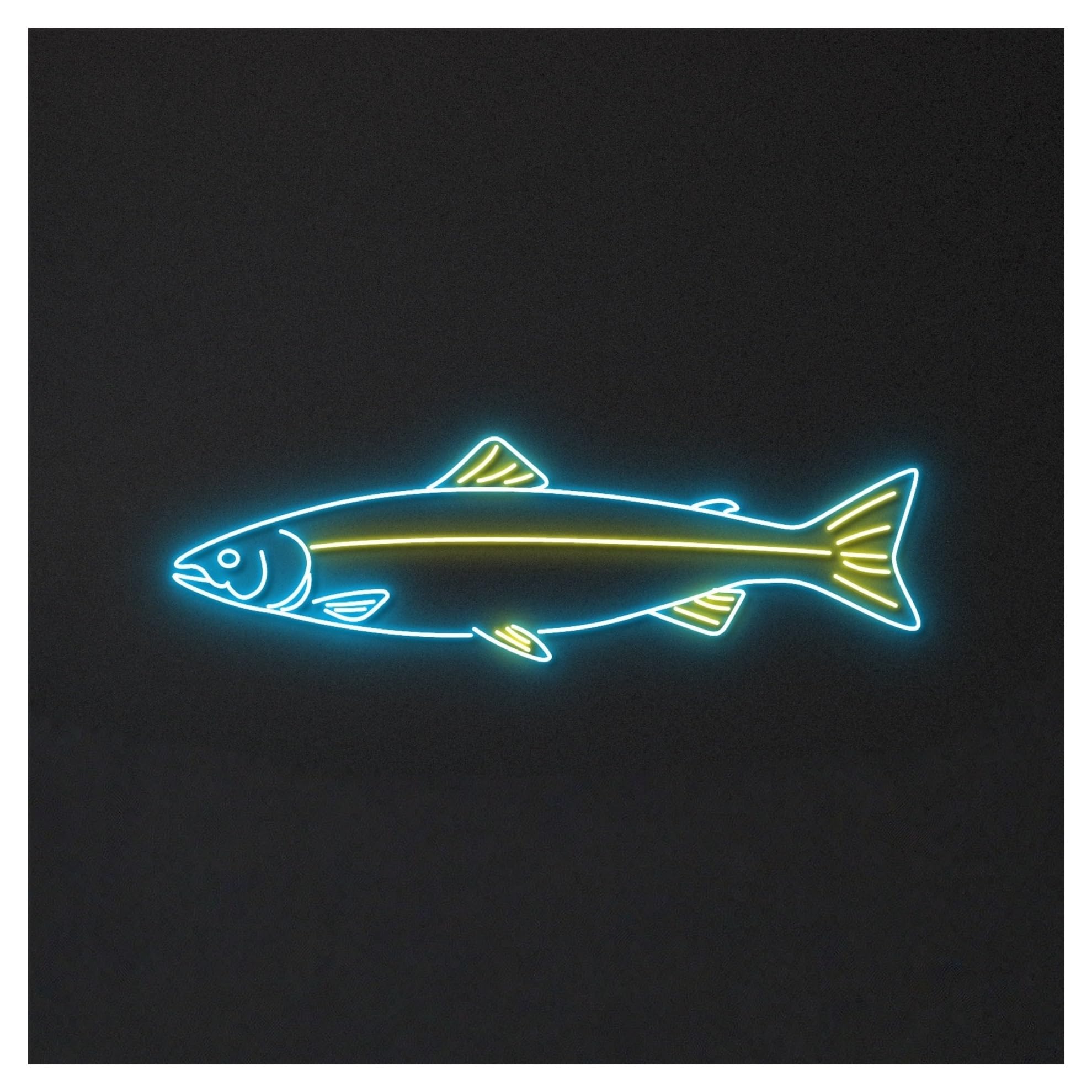 RONGCH Hanging Art Neon Signs Fish Neon Sign, Suitable for Restaurant Shop Store Wall Decor with Brightness Adjustable 50cm(B)