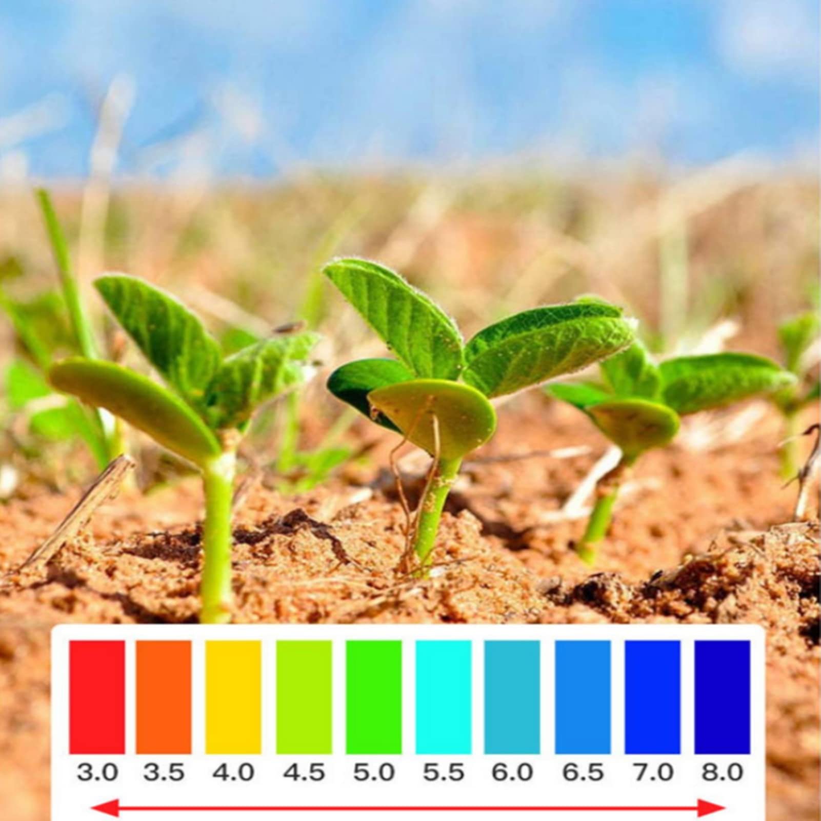 Medidor de EC de suelo directo digital Probador de temperatura de conductividad eléctrica Detector de fertilidad de nutrientes del suelo para flores Hierba Planta Jardín Granja Césped