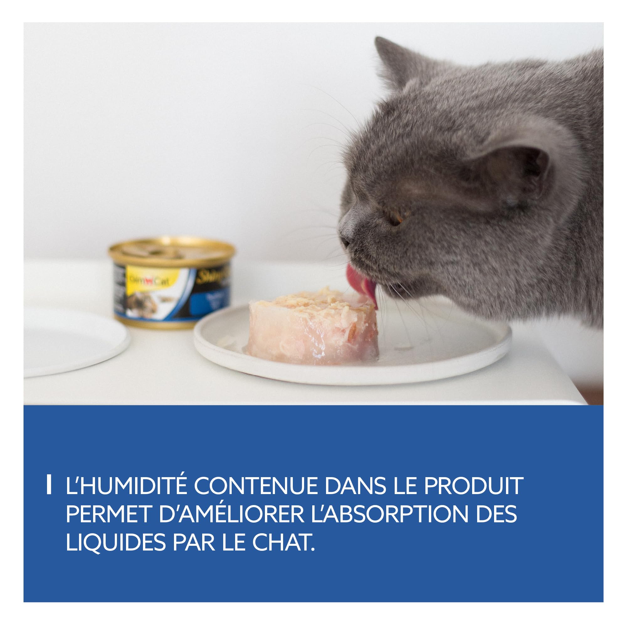 GimCat ShinyCat in Jelly Thon - Nourriture humide pour chats au poisson et à la taurine - 48 boîtes (48 à 70 g)