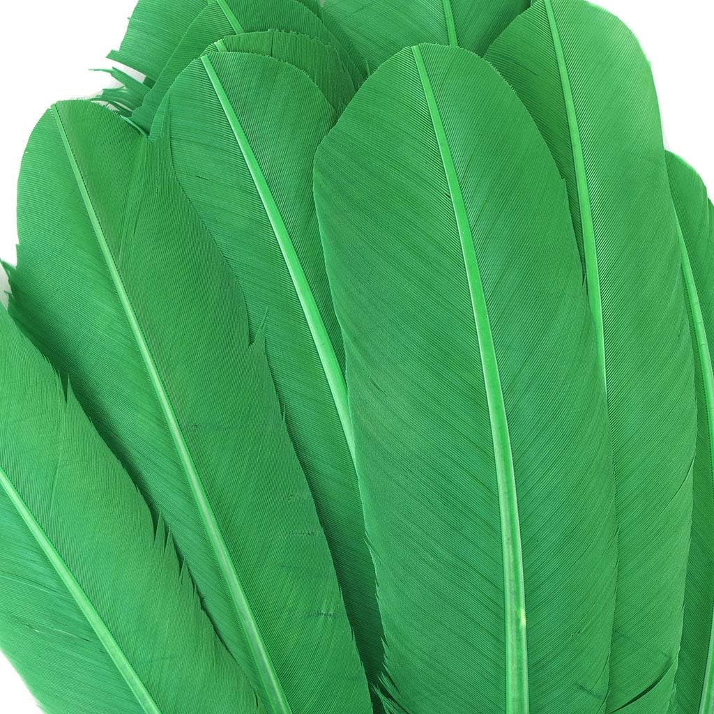 Zucker 10-12 inch Turkey Feathers for Crafts - 4pc Quills for DIY Headdress, Dream Catcher, Home Decor - Kelly Green