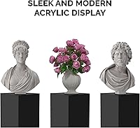 Vista 18 de Acrylic Display Riser Box Clear Plexiglass 12" x 12” x 19” No Lid Hollow Pedestal 5 Sided Display Trinkets Flowers Dust Cover Bin Collectible Items