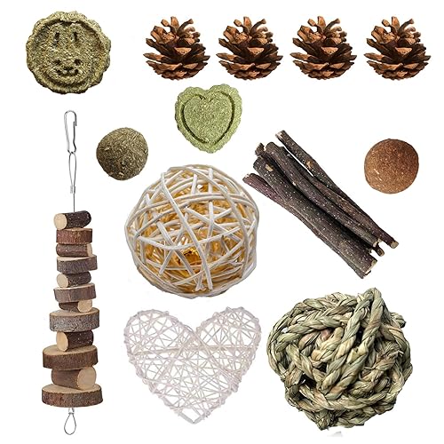 13 Pièces Jouet pour Lapin, Jouets à Mâcher pour Hamster, Jouets pour Petits Animaux, Jouet à Mâcher Timothy Hay Naturel, Bâtons de Bois de Pommier, pour Lapins, Cochons Inde,Chinchillas