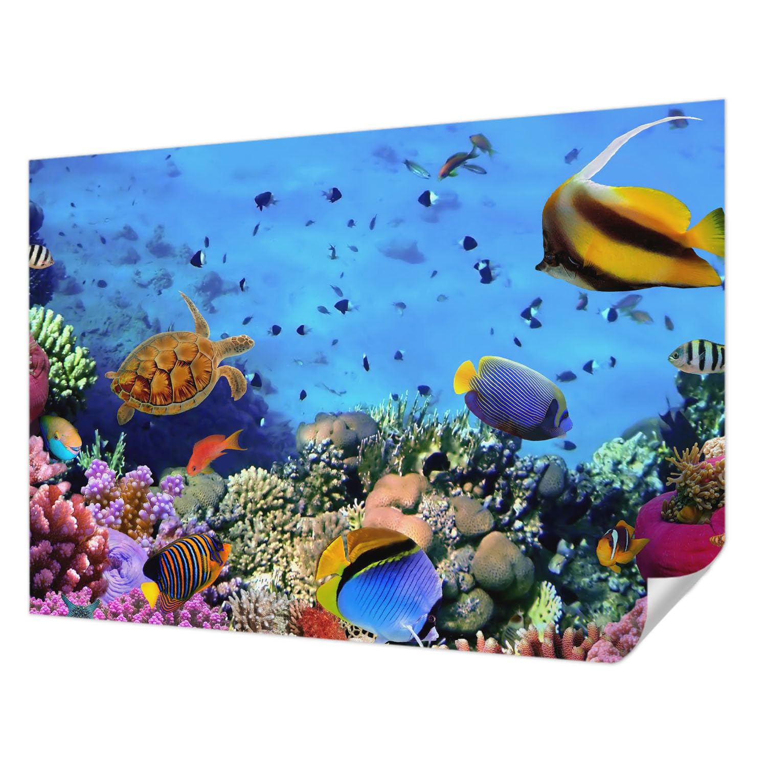 Papier peint auto-adhésif panoramique récif corallien 208x146 cm décoration murale