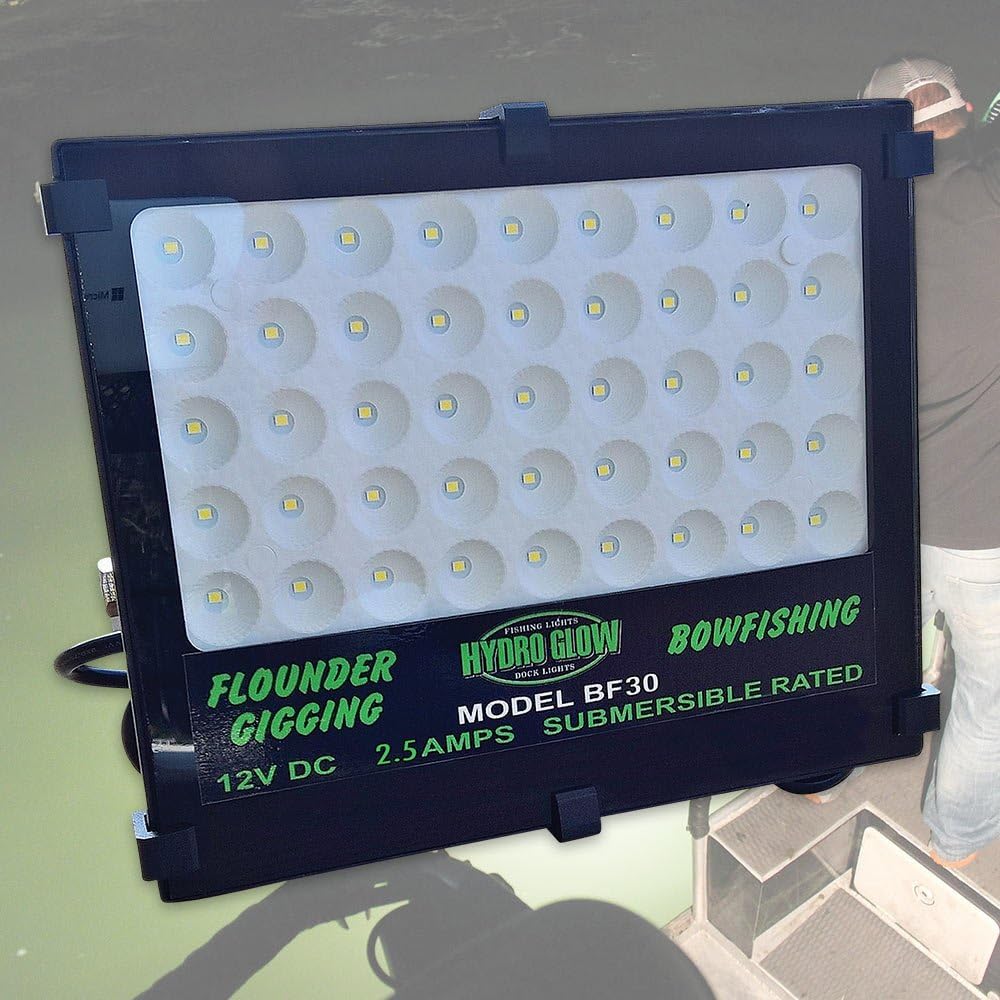 BF30 Bowfishing Light