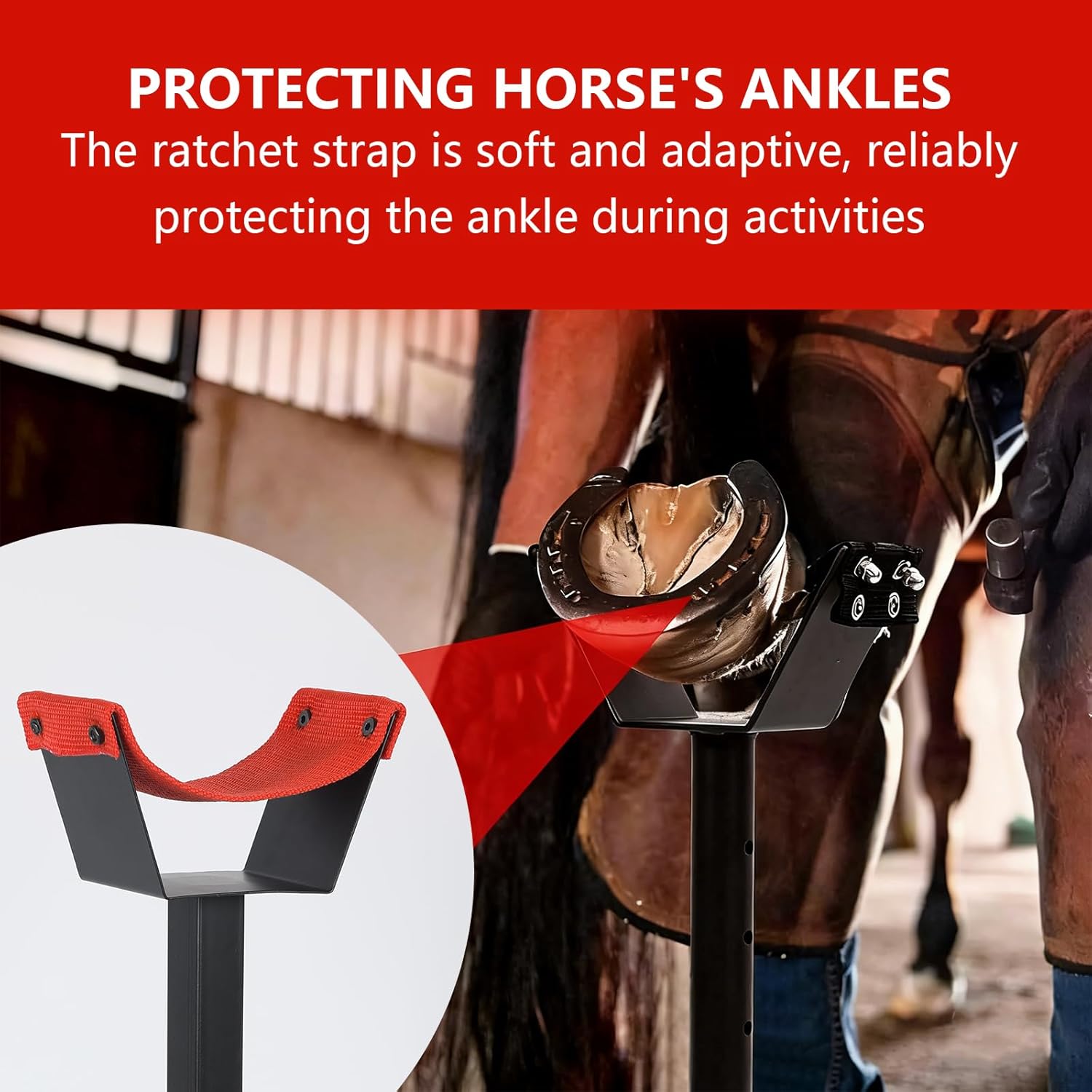 Adjustable Farrier Stand Hoof Stand for Horses Farrier Metal Hoof Anvil Stand, Blacksmith Farrier Horse Hoof Stand with 5 Adjustable Heights, Cross Bite Base, Horse Hoof Trimming Tools Veterinary Care